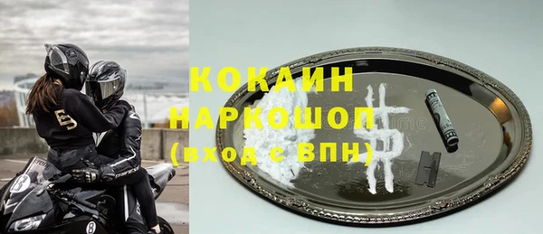 ГАЛЛЮЦИНОГЕННЫЕ ГРИБЫ Богданович